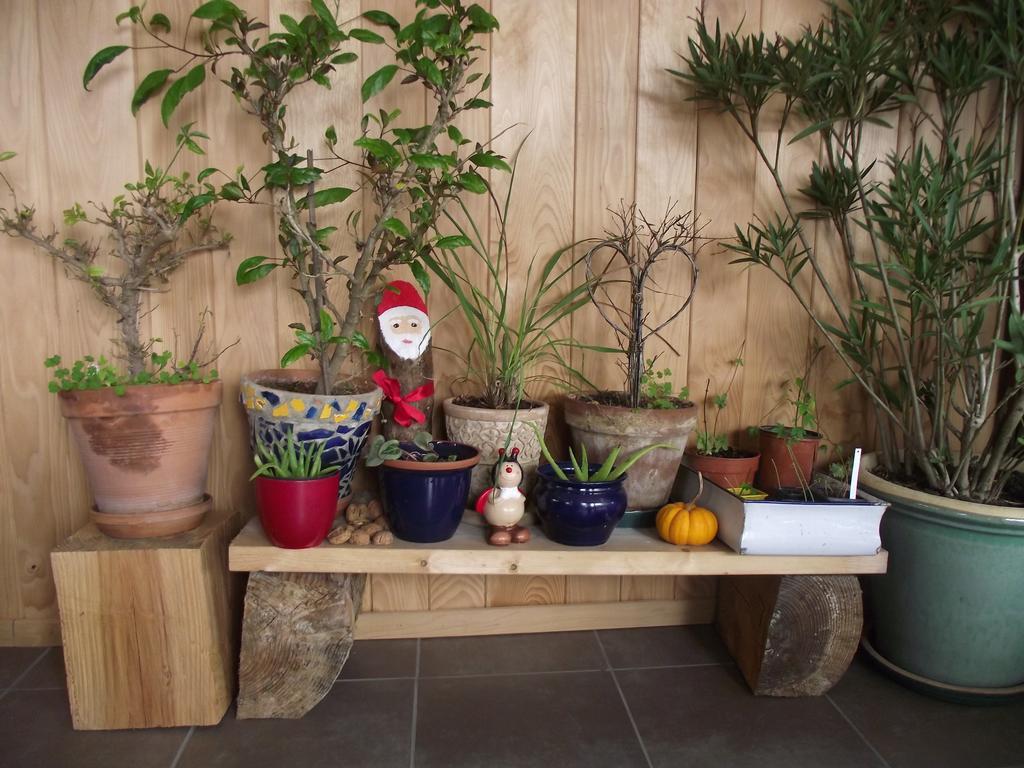 Les Gourmandises Bio Recologne (Haute-Saone) Exterior foto